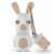 Clé USB Lapins Crétins – 4 Go